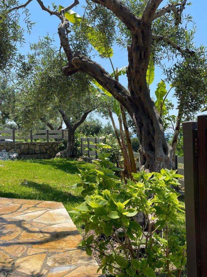Triantis Apartments Lygia (Epirus) Exterior photo